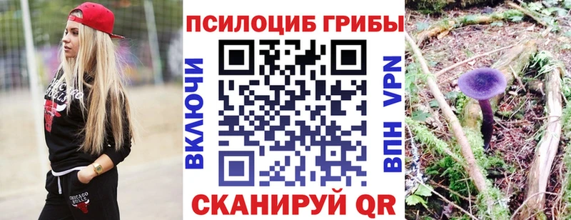 Псилоцибиновые грибы GOLDEN TEACHER Ступино