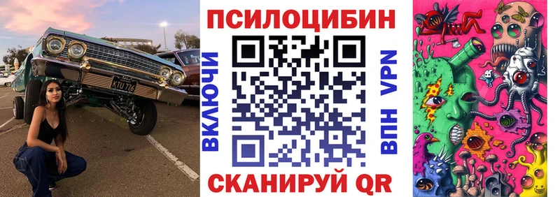 Псилоцибиновые грибы Psilocybe  купить наркоту  Ступино 
