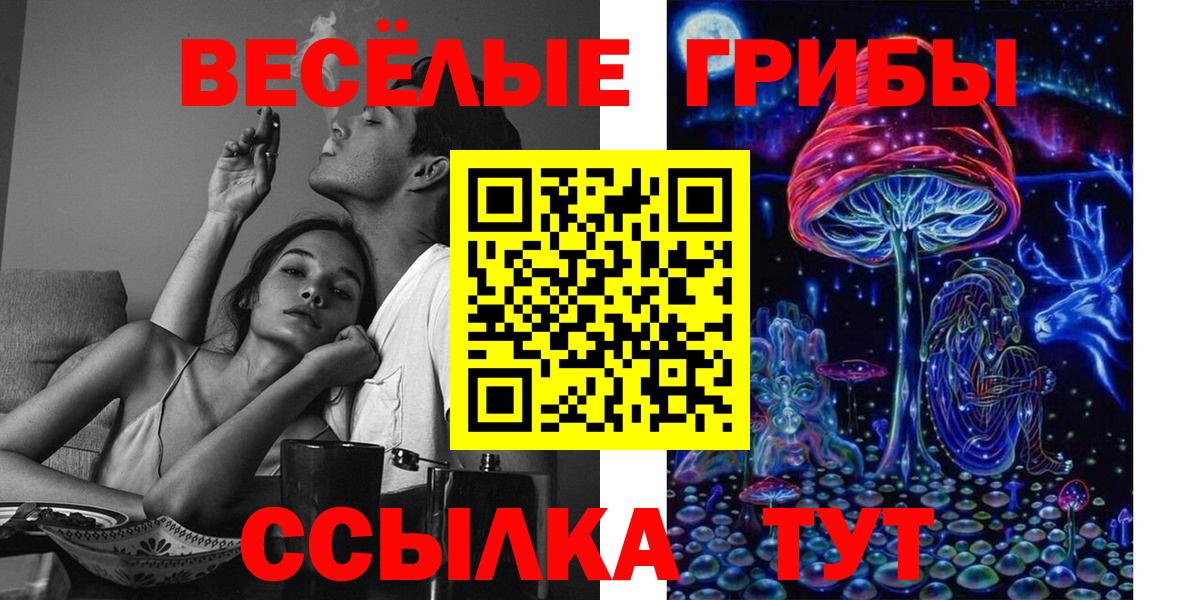 Псилоцибиновые грибы Magic Shrooms Ступино